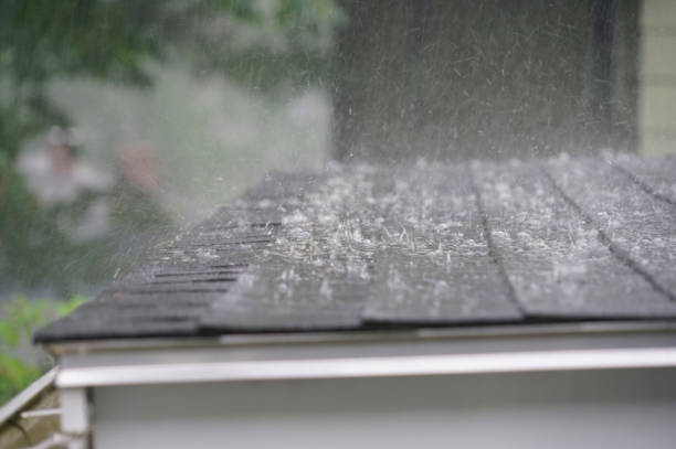 Best Gutter Installation and Repair  in Tyndall Af, FL