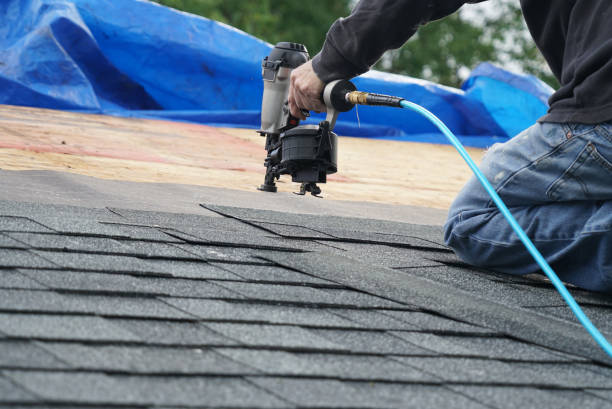 Best Storm Damage Roof Repair  in Tyndall Af, FL
