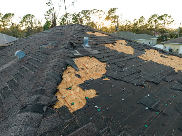 Best Flat Roofing  in Tyndall Af, FL