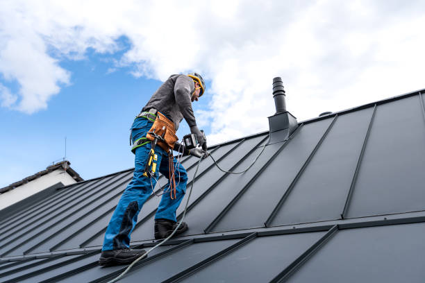Best Skylight Installation and Repair  in Tyndall Af, FL
